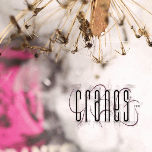 Cranes : Fuse