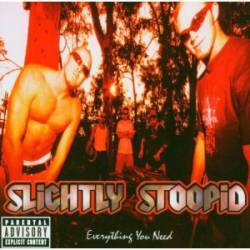 mp3. Slightly Stoopid : Everything You Need